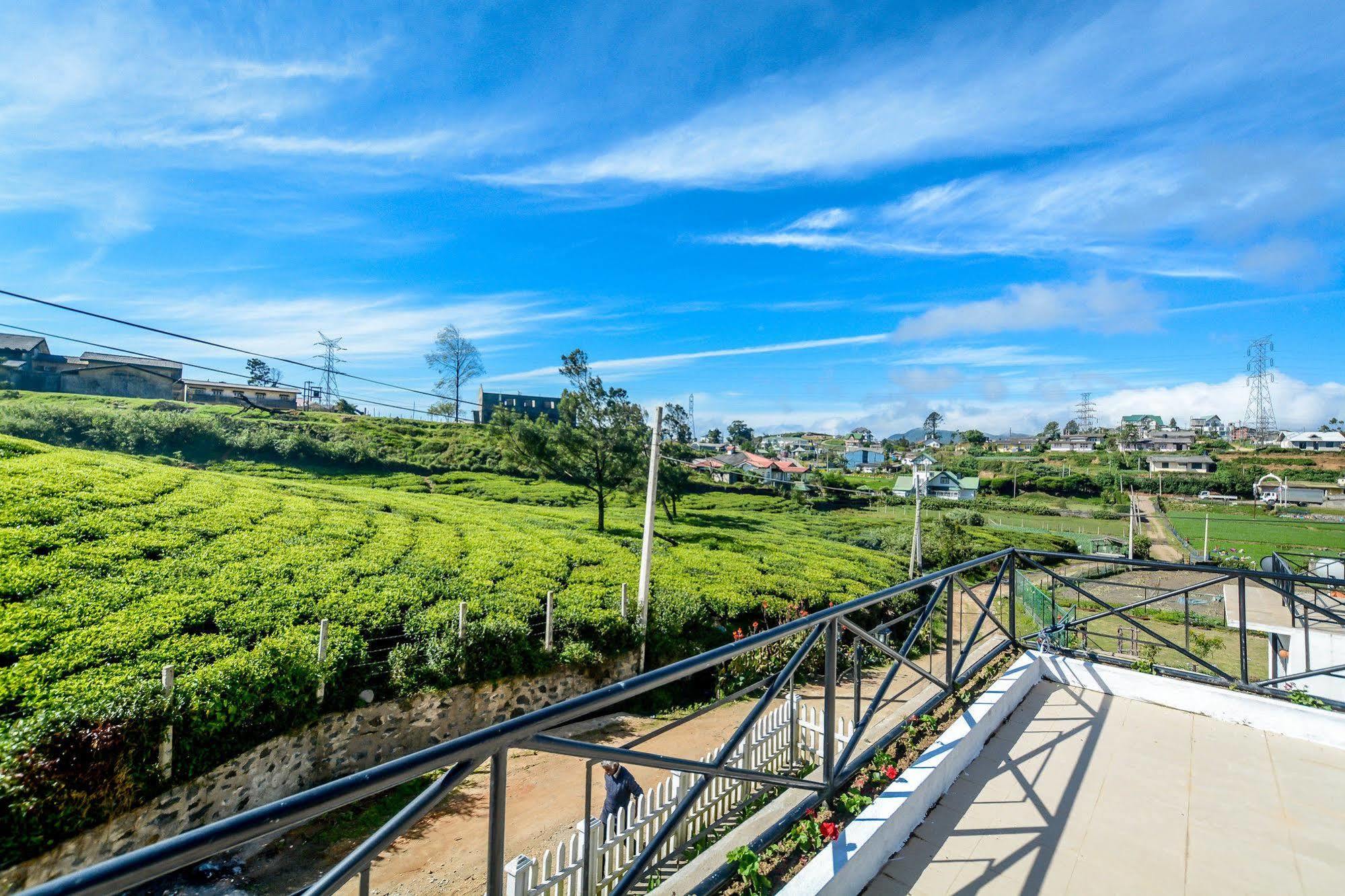 Villa Tea Fields Nuwara Eliya Exteriér fotografie