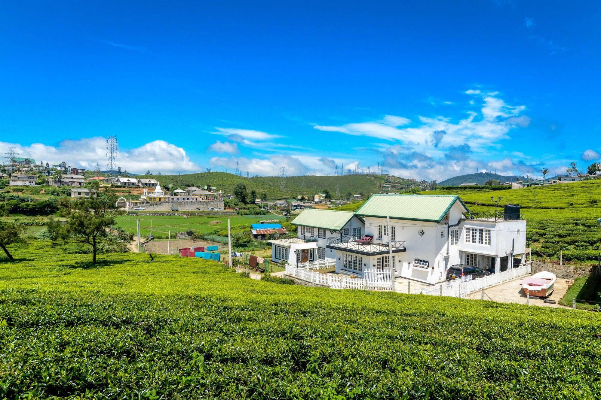 Villa Tea Fields Nuwara Eliya Exteriér fotografie