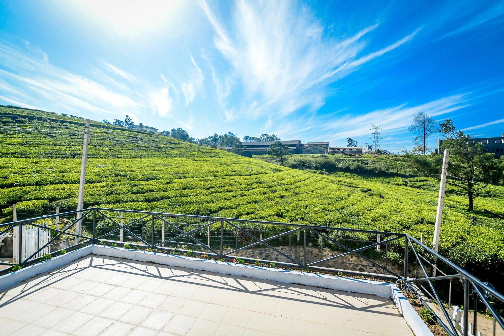 Villa Tea Fields Nuwara Eliya Exteriér fotografie